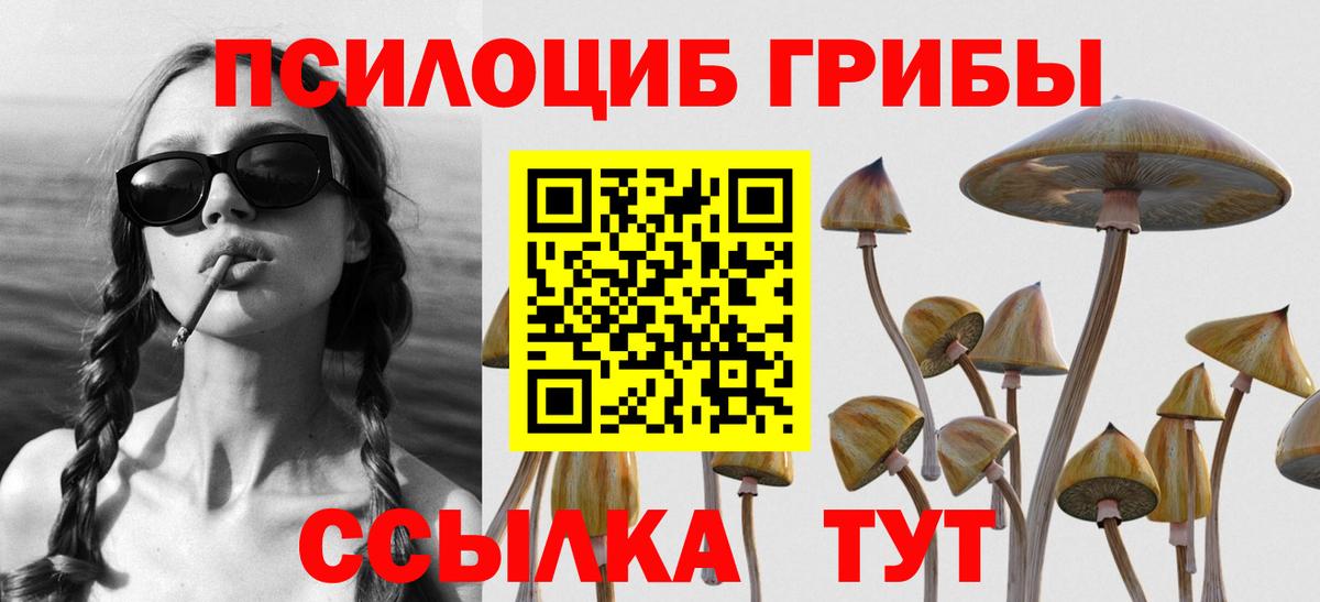 Галлюциногенные грибы мухоморы  Псилоцибиновые грибы Psilocybine cubensis  Вход с VPN  Котовск 